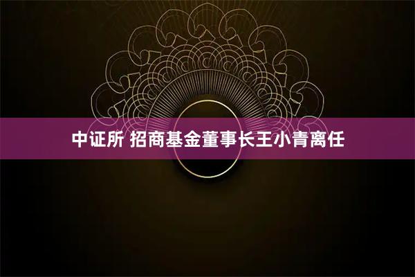 中证所 招商基金董事长王小青离任
