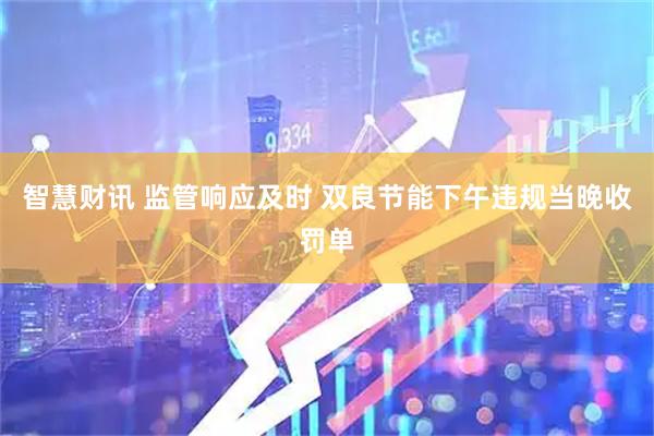 智慧财讯 监管响应及时 双良节能下午违规当晚收罚单