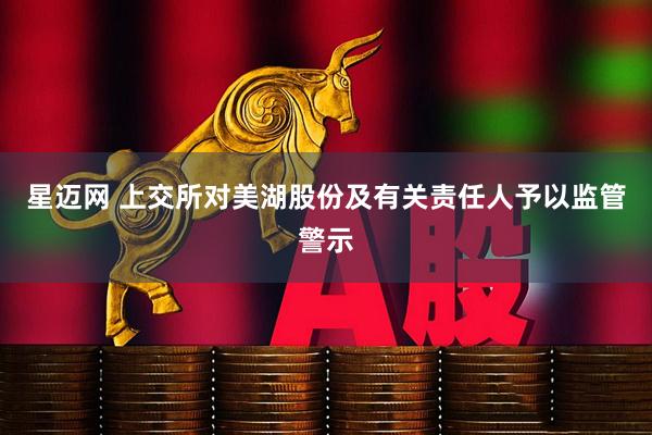 星迈网 上交所对美湖股份及有关责任人予以监管警示
